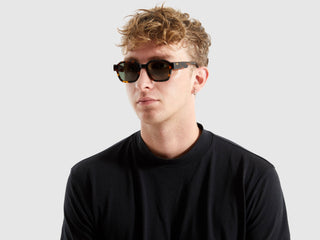 Jeff Sunglasses, Havana