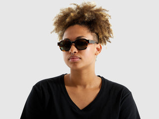 Jeff Sunglasses, Havana