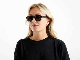 Jeff Sunglasses, Havana