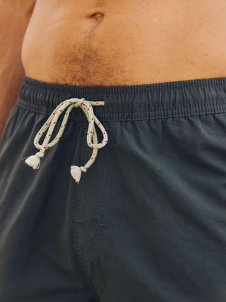 Mollusk Vacation Trunks