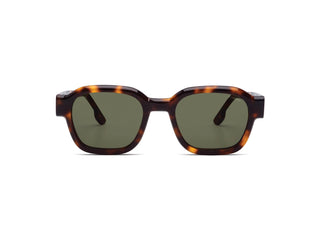 Jeff Sunglasses, Havana