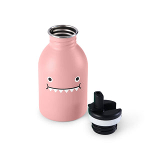 Stainless Steel Water Bottle, Ricedino Pink Dinosaur