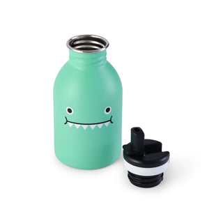 Stainless Steel Water Bottle, Ricedino Dinosaur