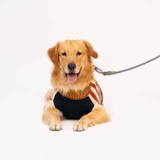 VERLOOP | knits - Pattern Patch Dog Sweater