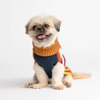 VERLOOP | knits - Pattern Patch Dog Sweater