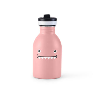 Stainless Steel Water Bottle, Ricedino Pink Dinosaur