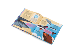 Explore the Ocean Book