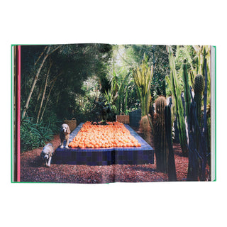 Chronicle Books - Flamingo Estate: The Guide to Becoming Alive