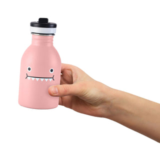 Stainless Steel Water Bottle, Ricedino Pink Dinosaur