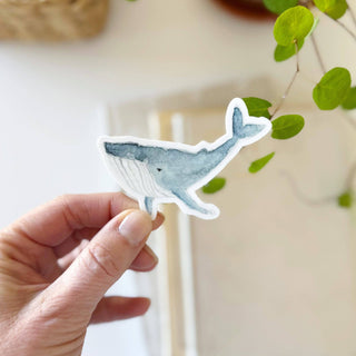 emily lex studio - Whale sticker