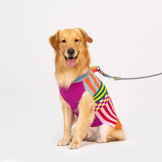 VERLOOP | knits - Pattern Patch Dog Sweater