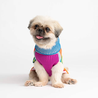 VERLOOP | knits - Pattern Patch Dog Sweater
