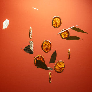 Noshinku - Refillable Orange Coriander Moisturizing Hand Sanitizer