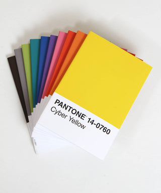 Chronicle Books - Pantone: 10 Notebooks